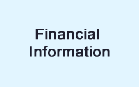 Informazioni finanziarie