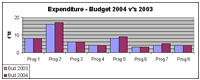 2004 m. biudžeto projektas