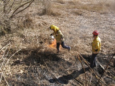 Waldbrandbekämpfung