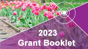 Broșura de informații despre grant 2003